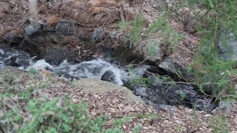 Clear Stream In Rocks 스톡 동영상 191475995