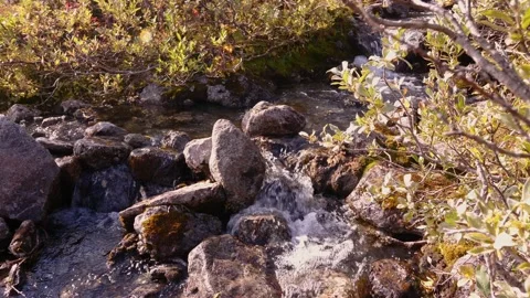 A clear stream running over stone boulders in the Khibiny. 스톡 동영상 164787026