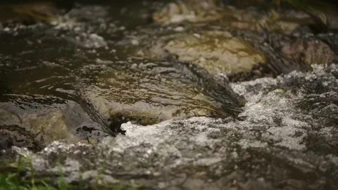 Clear stream running through stone boulders Stock Footage 213020524