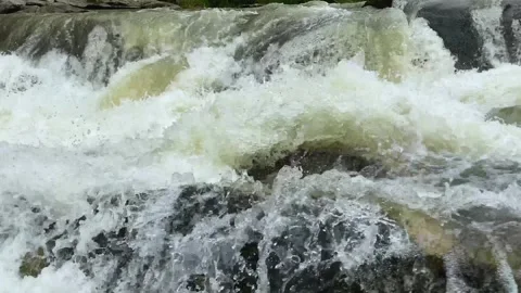 Clear stream running through stone boulders in carpathians. Abundant river Stock Footage 249874001