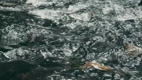 Clear stream running through stone boulders. Video stock 291845316