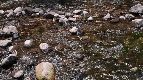 Clear stream running through stone rocks. Abundant river flowing on stone bottom Stock Photos