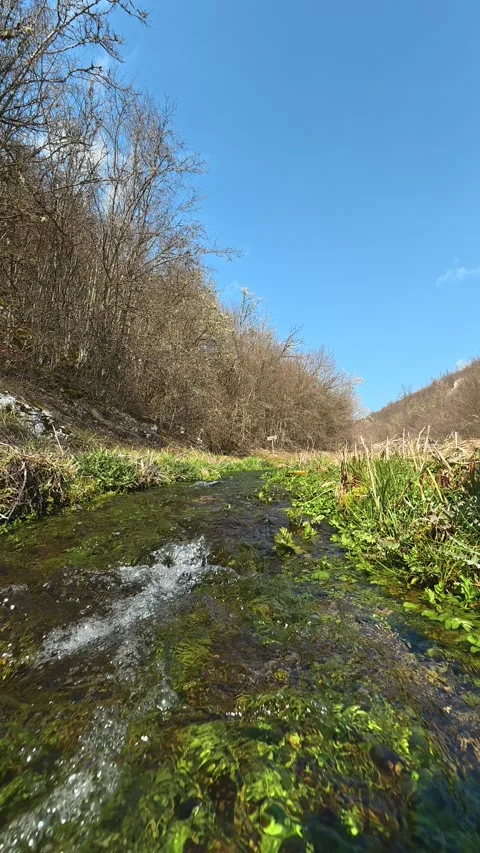 Clear stream rushes over mossy stones. Balkan, Eastern Europe, POV Video stock 333634556