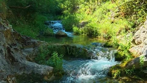 Clear stream rushes over mossy rocks. Gradasnica River Canyon, Serbia Stock Footage 342321368