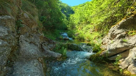 Clear stream rushes over mossy rocks. Gradasnica River Canyon, Serbia Stock Footage 342321414