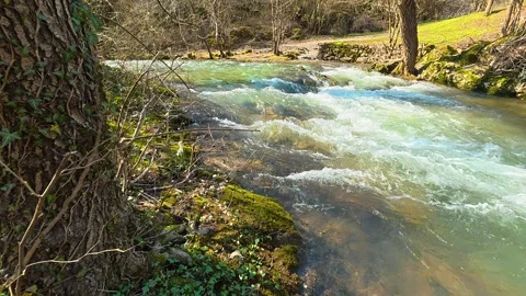 Clear stream rushes over rocks. Mount Ozren Vidéo 330941686