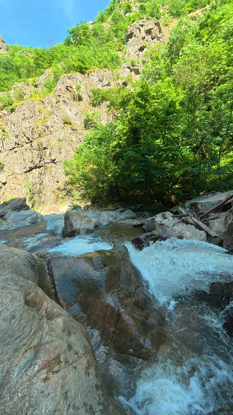 Clear stream rushes over rocks. Vucjanka Canyon, Serbia. Vertical Stock Footage 341131387