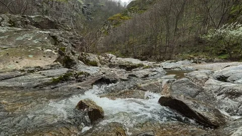Clear stream rushes over smooth, mossy stones. Vucjanka Canyon, Serbia Vidéo 332147543