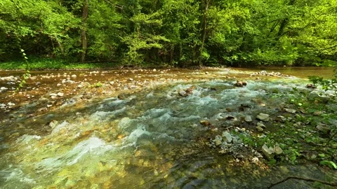 Clear stream rushes over smooth stones. Gradac River, Serbia Stock Footage 335074659