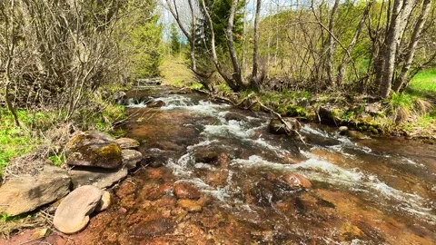 Clear stream rushes over smooth rocks. Near Tupavica Waterfall, Serbia Stock Footage 335531490