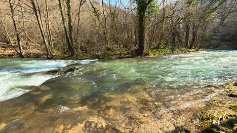 Clear stream rushes through forested, rocky terrain. Mount Ozren Vidéo 330942502
