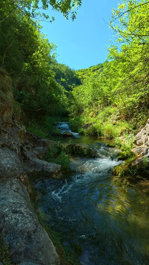 Clear stream rushes through mossy rocks. Gradasnica River Canyon, Vertical Stock Footage 342327880