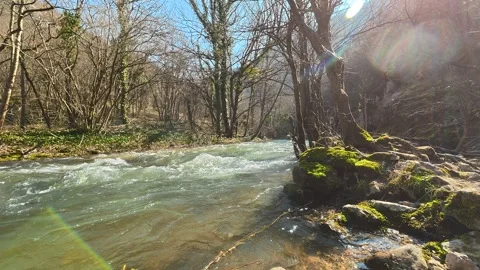 Clear stream rushes through rocky bed. Mount Ozren Vidéo 330942509