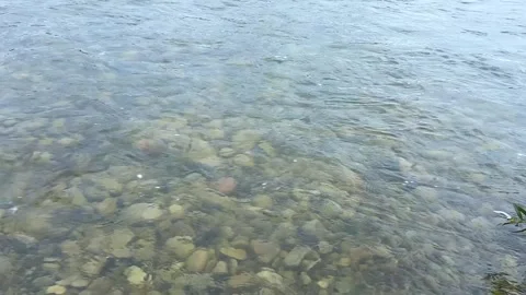 A clear stream of a shallow mountain river with a rocky bottom. Stock-Footage 318969312