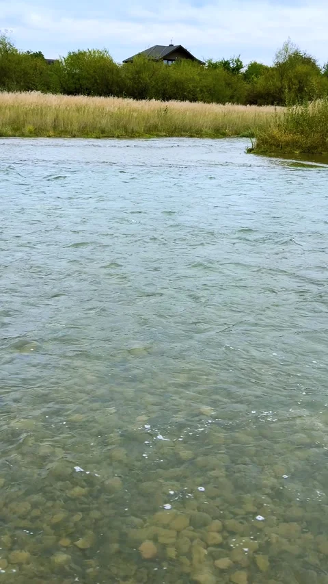 A clear stream of a shallow mountain river with a rocky bottom. 스톡 동영상 318969696
