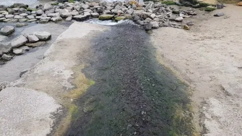 Clear stream of water cascades through the stones and flows into the sea. Stock Footage 149505322