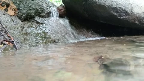 Clear Stream Water Flowing Around Rock in Shallow Creek Stock Footage 329782527