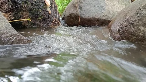 Clear Stream Water Flowing Between Rocks in Forest Stock Footage 330465521