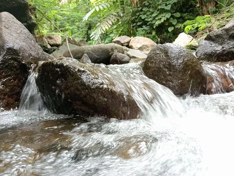 Clear Stream Water Flowing Between Rocks in Tropical Forest Stock Photos