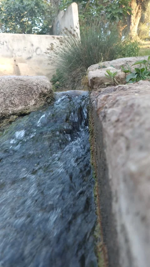 Clear Stream Water Flowing with Natural River Sound 動画素材 335081765