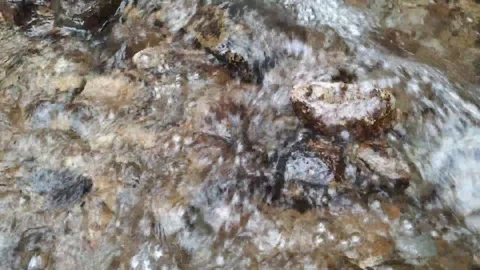 Clear Stream Water Flowing Over Rocks – Natural River Background Footage Видео 315153355