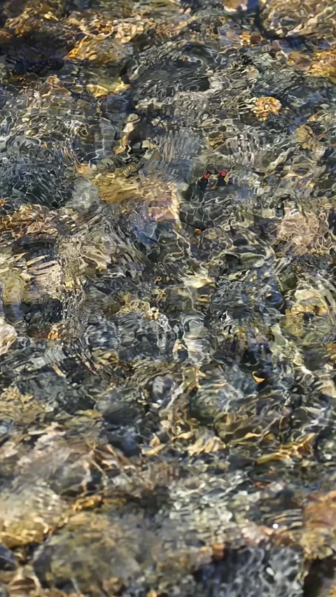Clear Stream Water Flowing Over Sunlit Rocky Creek Bed Stock Footage 317064350