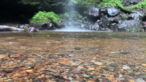 Clear Stream Water Flowing Over Colorful Pebbles, Waterfall Background, Low Angl Stock Footage 324084126
