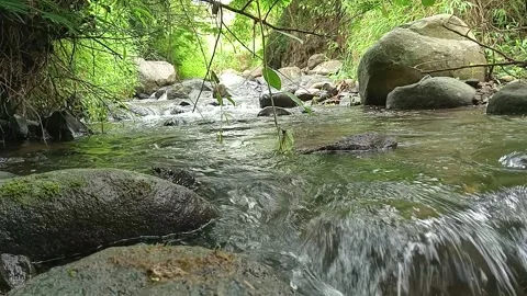 Clear Stream Water Flowing Over Natural River Stones Stock Footage 330332099