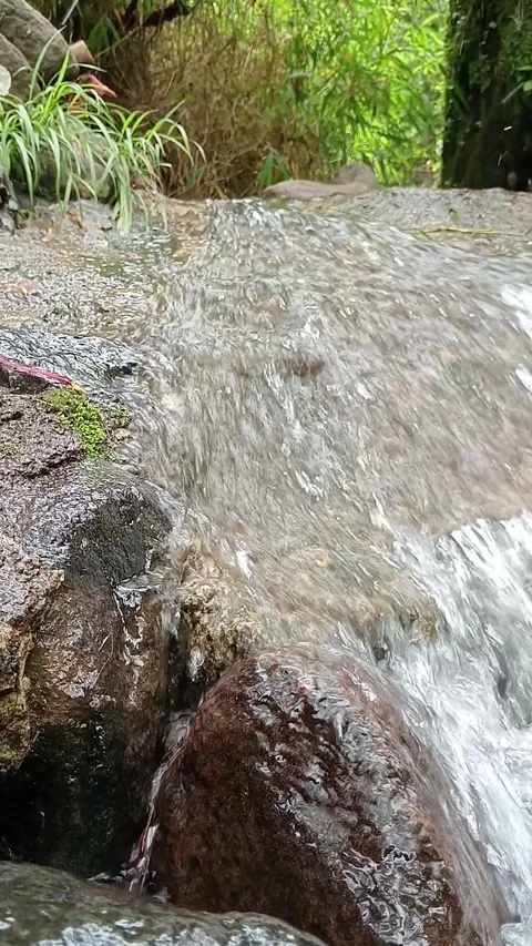 Clear Stream Water Flowing Over Rocks in Natural Forest Stock Footage 330517012