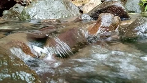 Clear Stream Water Flowing Over Stones in Natural Outdoor Setting Stock Footage 330539207