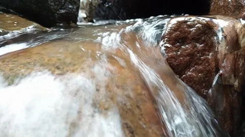 Clear Stream Water Flowing Over Brown Rocks – Natural Forest Scene Stock Footage 330560540