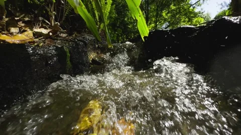 Clear Stream Water Flowing Over Forest Rocks 스톡 동영상 331129534
