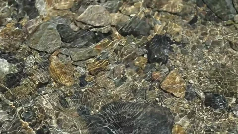 Clear Stream Water Flowing over Colorful Rocks Sunlight Reflections Stock Footage 337517743