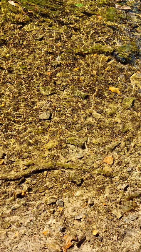 Clear stream water flowing over rocky riverbed. Stock Footage 339810678