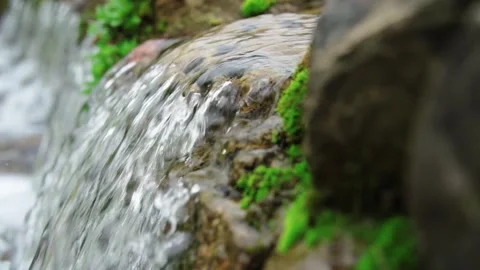 Clear stream water flowing over mossy rocks in a natural forest environment Stock Footage 342003735