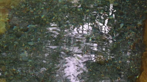 Clear Stream Water Flowing Over Pebbles with Ripples and Reflections 스톡 동영상 343707646