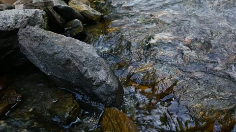 Clear stream water flowing over wet rocks Stock Footage 345713133