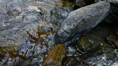 Clear stream water flowing over rocks in a brook Stock Footage 346849759