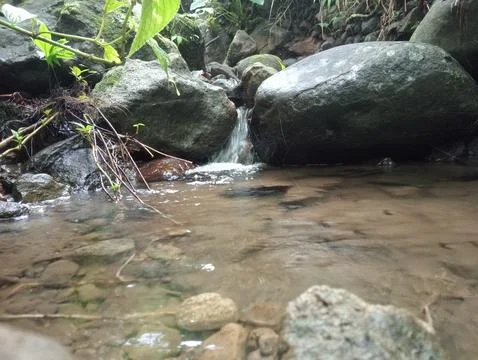 Clear Stream Water Flowing Over Natural River Stones Close Up Stock Photos