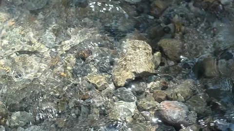 Clear Stream Water Flows over Colorful River Rocks Stock Footage 337517746
