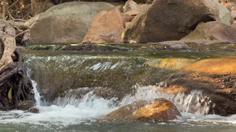 Clear stream water moves calmly among stones, forming gentle currents across Stock Footage 332359345