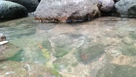 Clear Stream Water Over Smooth Rocks Close Up Natural Detail Stock Footage 330588788