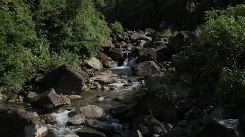 Clear stream water is running through the forest.10s Stock Footage 41565497