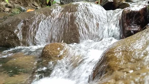 Clear Stream Water Running Through Forest Rocks – Nature Scene Stock Footage 330548083