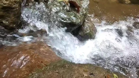 Clear stream in the wild 库存影片 332922693