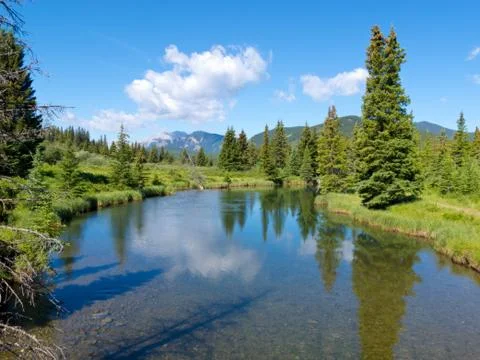 Clear stream willmore wilderness alberta canada Stock Photos