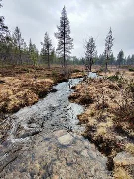 A clear stream winds its way through a vast, barren landscape of Lemmenjoen N Stock Photos