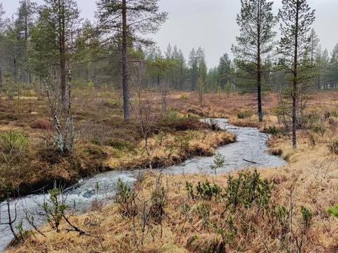 A clear stream winds its way through a vast, barren landscape of Lemmenjoen N Stock Photos