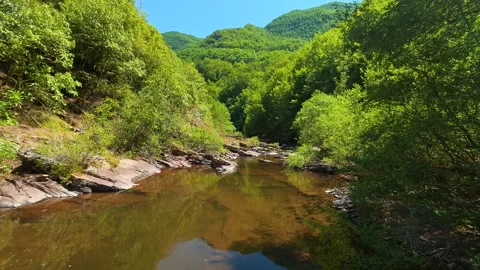 Clear stream winds through emerald hills. Temska River Serbia Stockbeeldmateriaal 344598044
