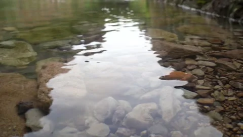 Clear stream, you can see the stones Stock Footage 162672572